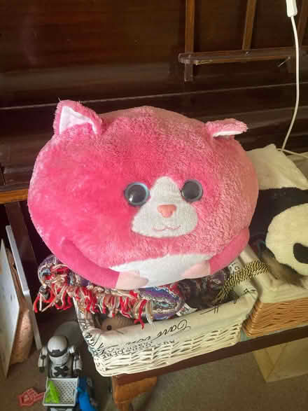 Photo of free Large pink round soft toy (Sciennes EH9) #1