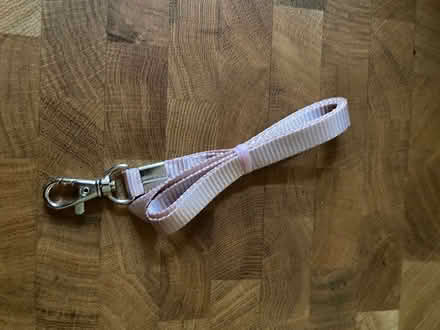 Photo of free Pink Lanyard (Berwyn) #1