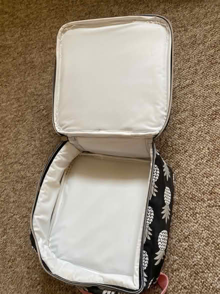 Photo of free New Kids lunch bag (Windsor Quay, Cardiff CF11) #2