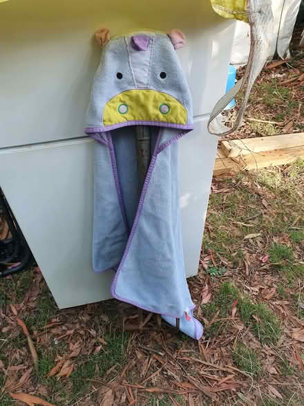 Photo of free Child's Hood Towel (Booker HP12) #1