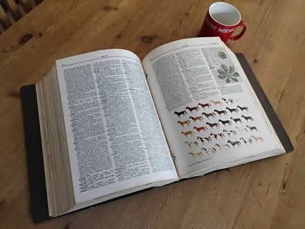 Photo of free Webster Universal Dictionary (Welwyn AL6) #3