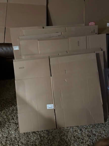 Photo of free Boxes and packing paper (BelAir) #1