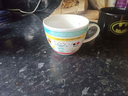 Photo of free Two large mugs (Fords Farm RG31) #2