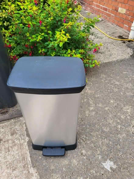 Photo of free Curver Kitchen pedal bin (Gobowen SY11) #1
