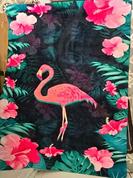 Photo of free Lightweight flamingo rug 120x160 (Bowbridge GL5) #1
