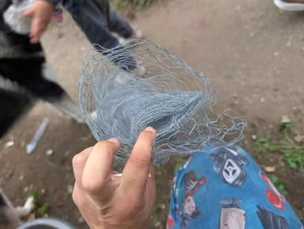 Photo of free Chicken wire (CO11) #2