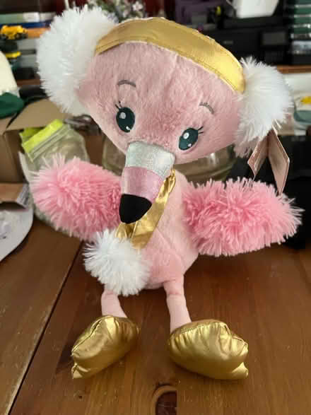 Photo of free 2 x Singing Flamingo (Whitton TW3) #1