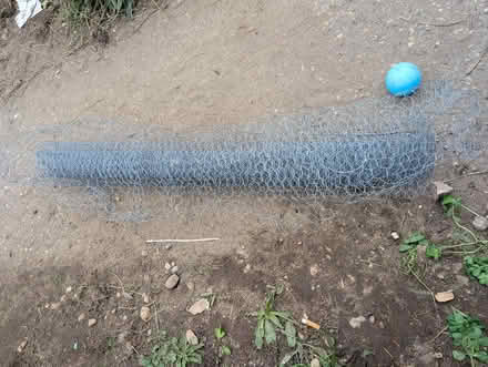 Photo of free Chicken wire (CO11) #1