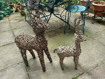 Photo of free Reindeer Christmas Decoration (Highbury Barn N5) #2