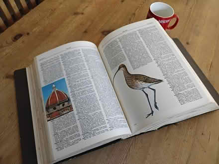 Photo of free Webster Universal Dictionary (Welwyn AL6) #4