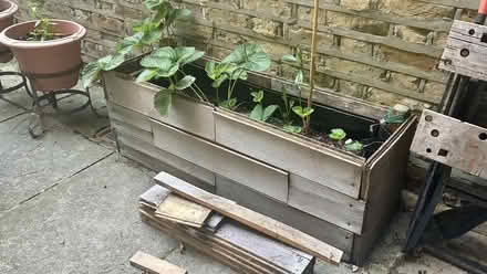 Photo of free Assorted floorboards + other wood (Highbury Barn N5) #3