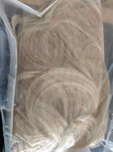 Photo of free Fancy Dress Wig (Beeston LS11) #1
