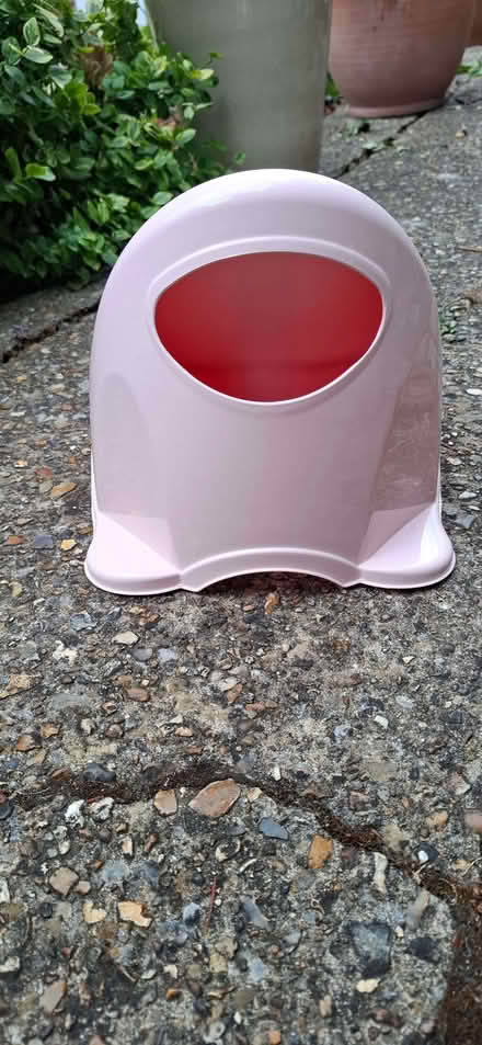 Photo of free Pink Plastic potty (Caversham RG4) #3