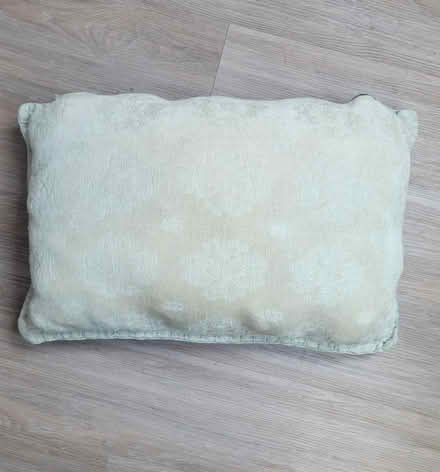 Photo of free Pillow (Medford ma) #1