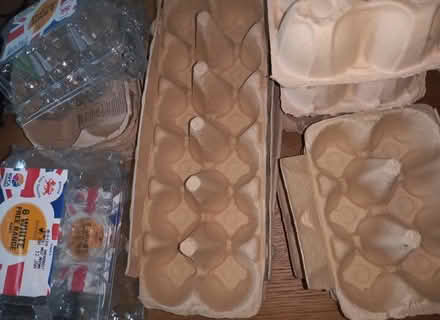Photo of free egg trays (Saint Philip's S1) #1