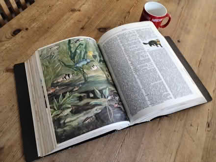 Photo of free Webster Universal Dictionary (Welwyn AL6) #2