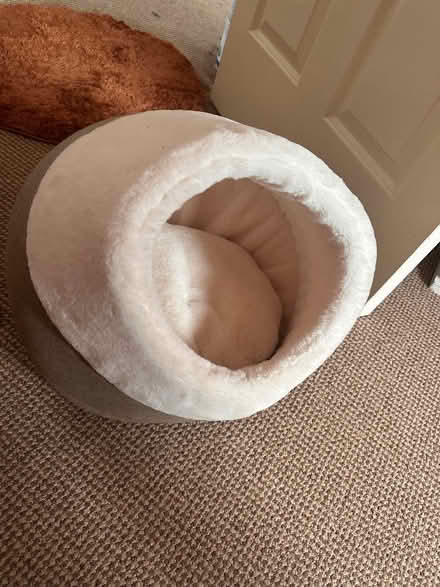 Photo of free Cat Bed (Everton L5) #3