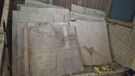 Photo of free Sheets of used wood (CO11) #2