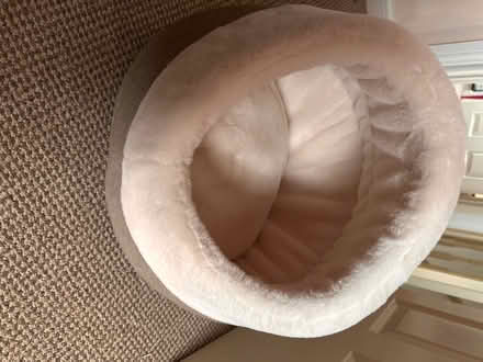 Photo of free Cat Bed (Everton L5) #1