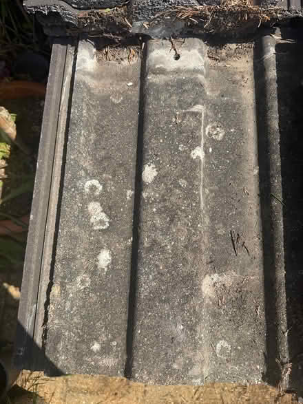 Photo of free Roof tiles (Maidstone ME14) #3