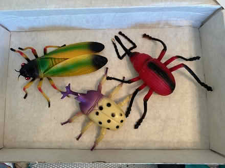 Photo of free 3 large insect toys, about 6 inches (Sausalito) #1