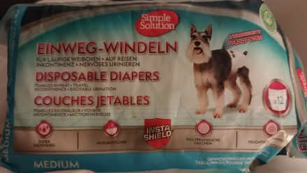 Photo of free Dog diapers (Broadsands TQ4) #2