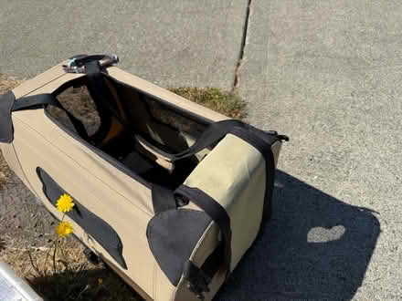 Photo of free Cat Supplies (Renton Highlands) #1