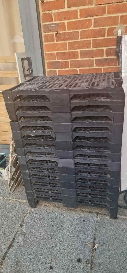 Photo of free 14 Plastic pallets 80 x 60cms (Chessington KT9) #1