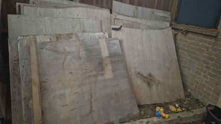 Photo of free Sheets of used wood (CO11) #1