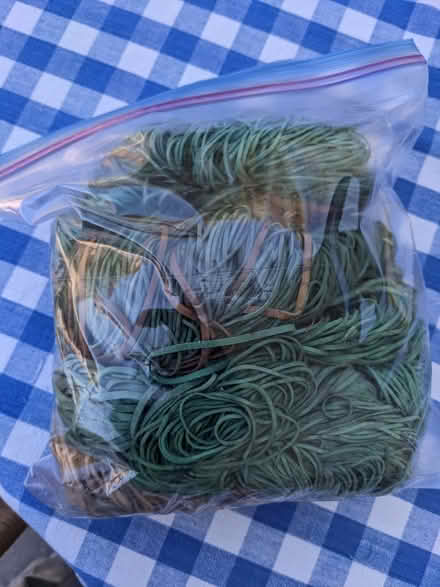 Photo of free Big bag of newspaper rubber bands (Greenlake) #1