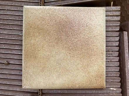 Photo of free tiles (BH21) #1
