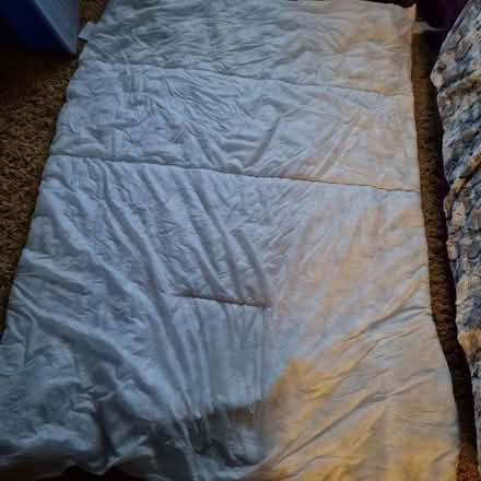 Photo of free Single quilt Newly laundered (Watcombe TQ2) #1