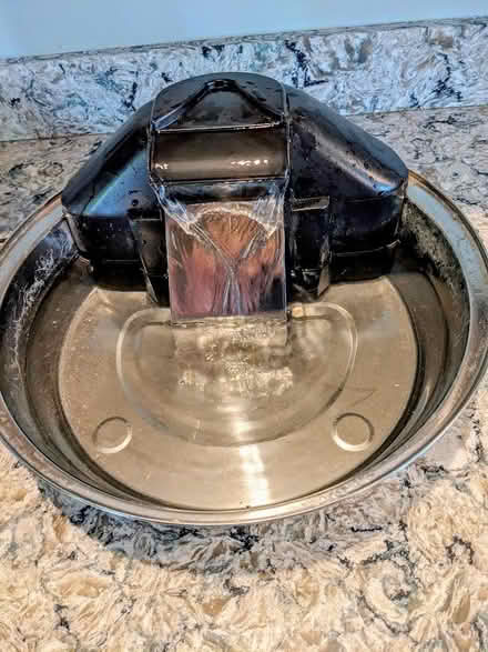 Photo of free Pet Water Fountain (Groton near center) #1