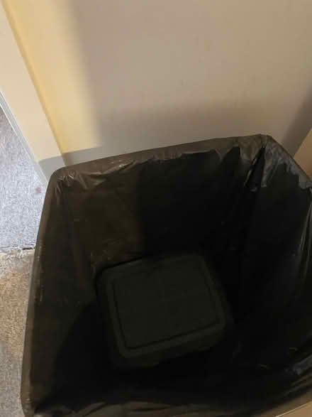 Photo of free Grey swing bin and green caddy (Windsor Quay, Cardiff CF11) #3