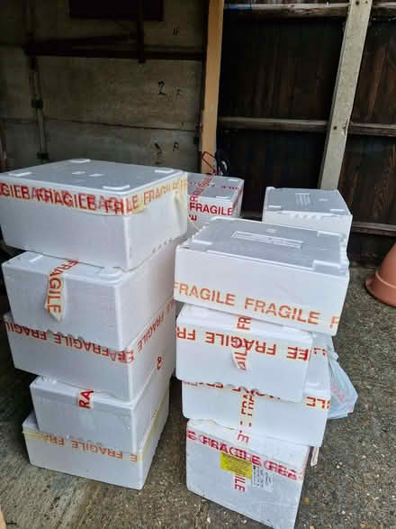 Photo of free Many foam white boxes and gel ice packs (Putnoe MK41) #2