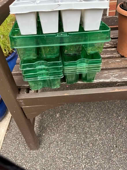 Photo of free garden pots, seedling trays (denby, DE5) #3