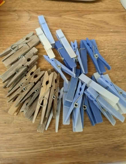 Photo of free Pegs (Addlestone KT15) #1