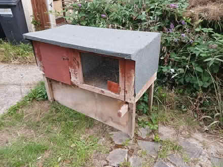 Photo of free Guinea pig hutch (Bridgemary PO13) #3