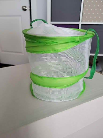 Photo of free Butterfly net cage (Lees Summit) #1