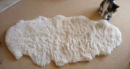 Photo of free Very old sheepskin rug (Minster Lovell OX29) #1