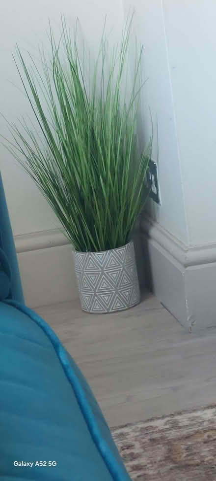 Photo of Plant (fake) (Ilkeston DE7) #1