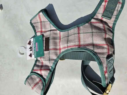 Photo of free Dog accessories (Pipehouse) #2