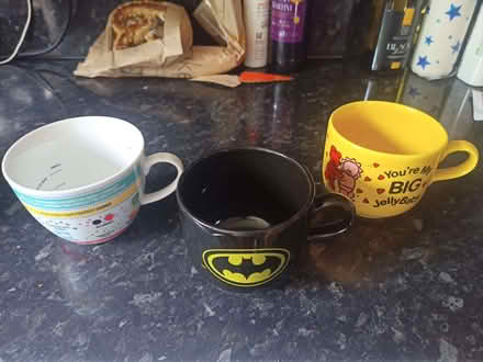 Photo of free Two large mugs (Fords Farm RG31) #1