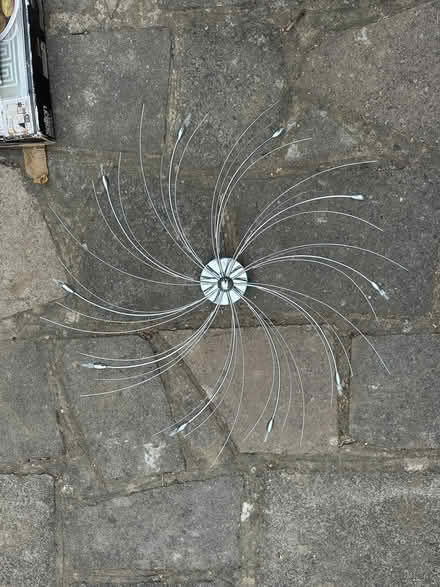 Photo of free Ceiling light (TW3 Hounslow Central) #1