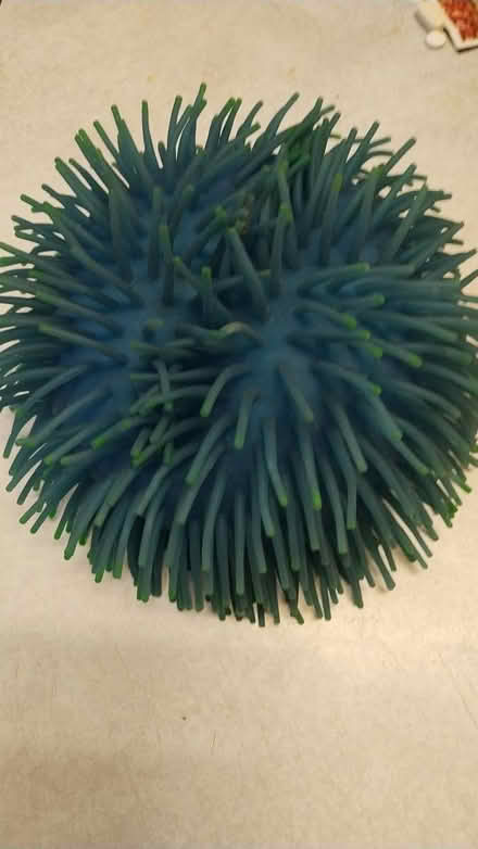 Photo of free squishy ball type thing (Allen) #1