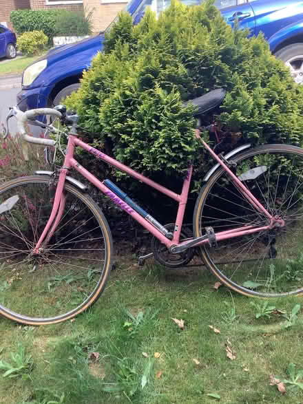 Photo of free Adult bike. (Dronfield Woodhouse S18) #1