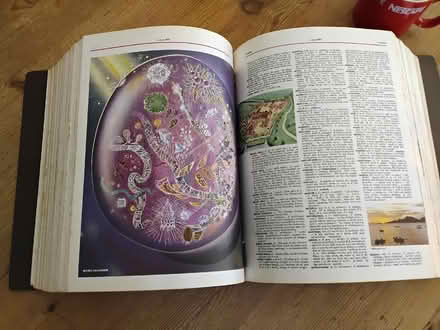 Photo of free Webster Universal Dictionary (Welwyn AL6) #4