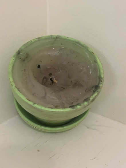 Photo of free Citronella candle (Berkeley, near Claremont Hotel) #2