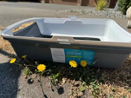 Photo of free Cat Supplies (Renton Highlands) #4
