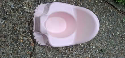 Photo of free Pink Plastic potty (Caversham RG4) #2